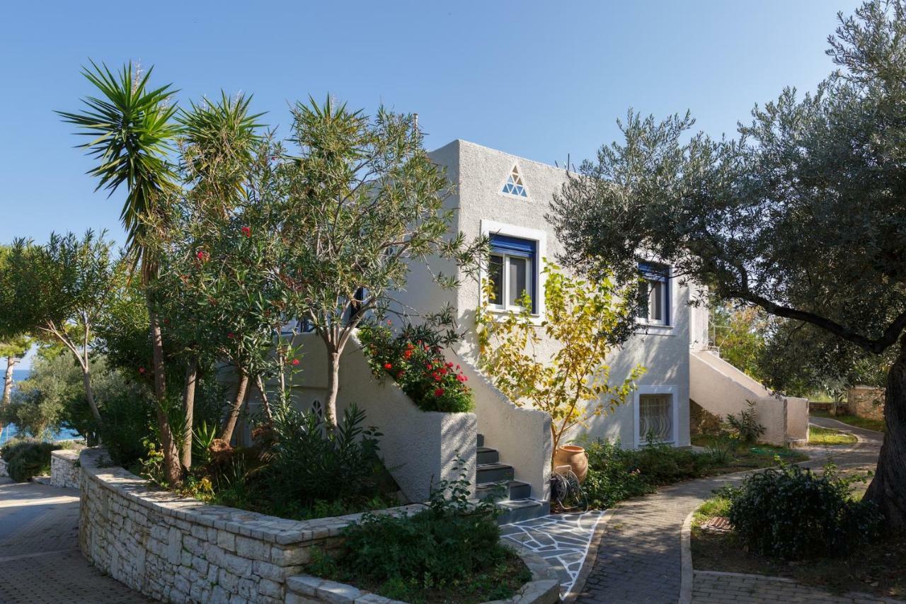 Into The Blue Villa Arkadiko Chorio Екстериор снимка